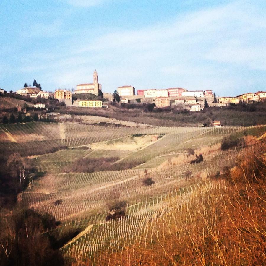 Cascina Maina Villa Diano dʼAlba Eksteriør bilde